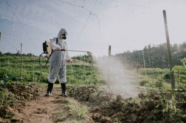Best Commercial Pest Control Services  in Waterloo, NE