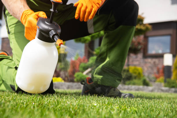 Best Best Pest Control Companies  in Waterloo, NE