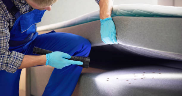 Best Mosquito Control Services  in Waterloo, NE