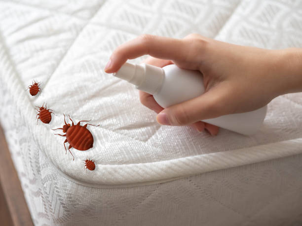 Best Affordable Pest Control Services  in Waterloo, NE