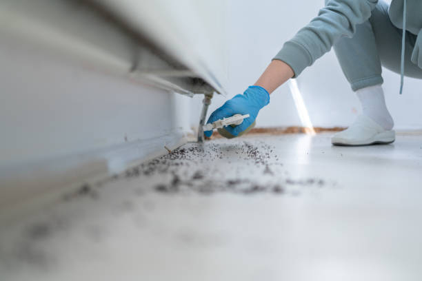 Best Local Pest Control Services  in Waterloo, NE
